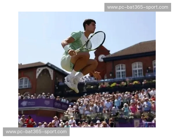 温网集锦：草地荣耀与观赛盛宴