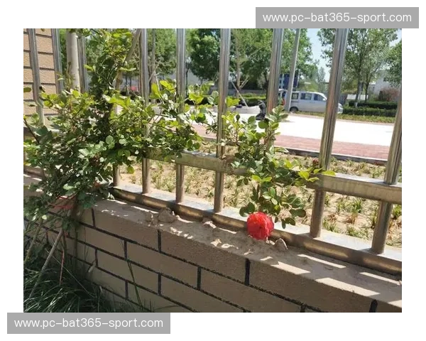 开云体育赛果查询：一指掌握实时赛果的智慧入口